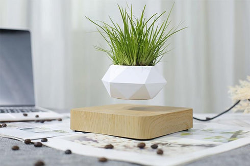 LevPot™ 2 - Levitating Mini Bonsai Pot